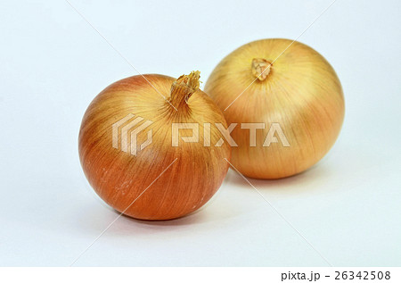 タマネギ（玉葱） 26342508