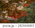 浅草寺　紅葉　 26344063