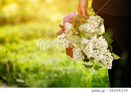 female teen girl hold basket full of lilac flowers female teen girl hold basket full of lilac flowers 26344174