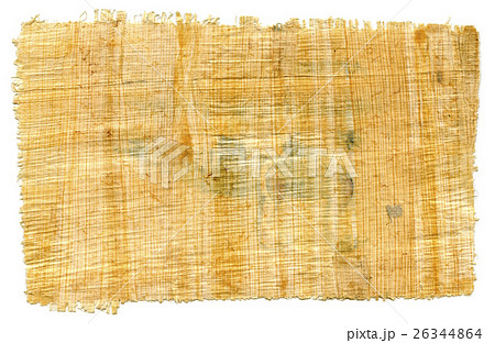 Egyptian Papyrus 26344864