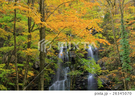 秋田県 紅葉の友情の滝 秋田県 紅葉の友情の滝 26345070