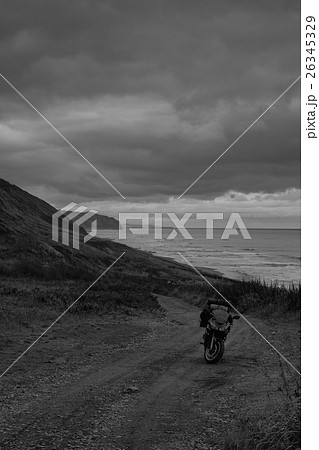 Wild Journey (14) Wild Journey (14) 26345329