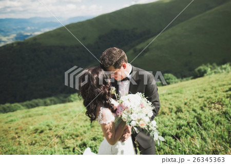 Beautiful wedding couple, bride and groom, in love Beautiful wedding couple, bride and groom, in love 26345363