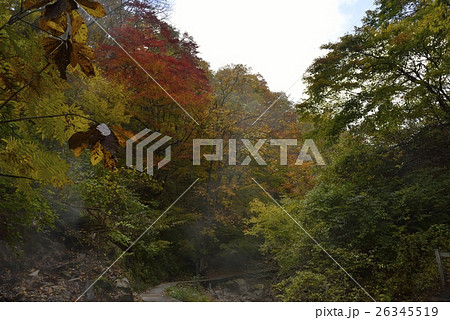 地獄谷遊歩道の紅葉・鬼首(宮城県) 地獄谷遊歩道の紅葉・鬼首(宮城県) 26345519