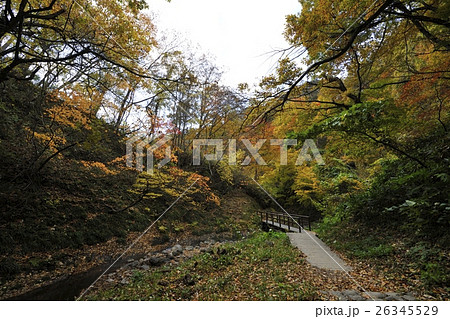 地獄谷遊歩道の紅葉・鬼首（宮城県） 26345529