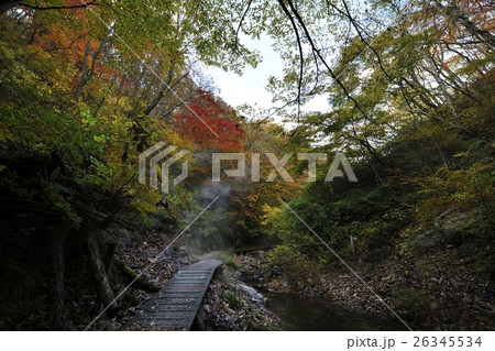 地獄谷遊歩道の秋・鬼首(宮城県) 地獄谷遊歩道の秋・鬼首(宮城県) 26345534