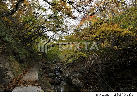 地獄谷遊歩道の秋・鬼首(宮城県) 地獄谷遊歩道の秋・鬼首(宮城県) 26345536