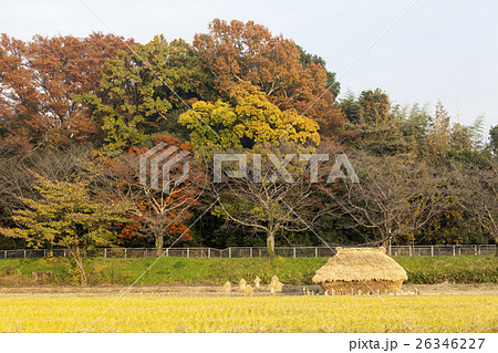 フナノ 10 フナノ 10 26346227