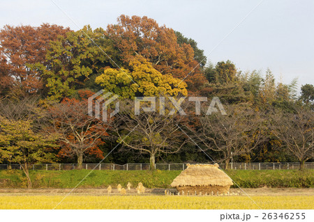 フナノ 08 26346255