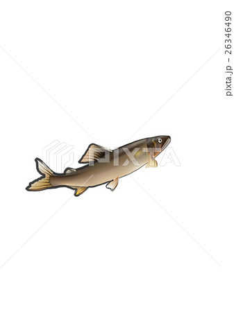 あゆ20161120 あゆ20161120 26346490