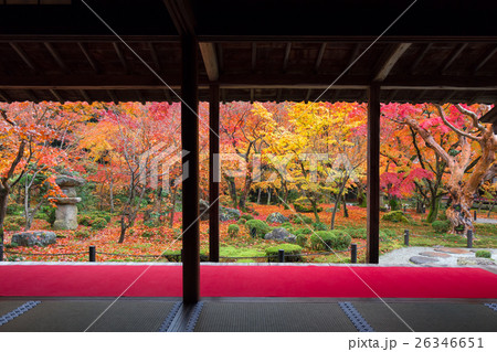 秋の圓光寺 秋の圓光寺 26346651