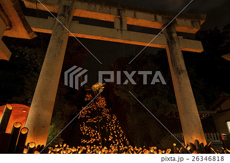 竹楽 竹楽 26346818