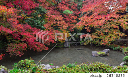 秋の蓮華寺 26346836