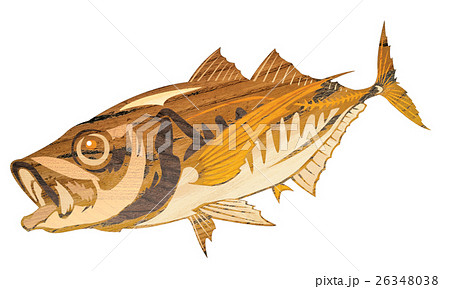 魚 アジ イラストのイラスト素材