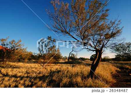 Australia Landscape : Red rock of Australia Australia Landscape : Red rock of Australia 26348487
