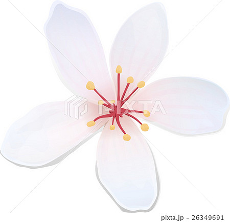 客家 ハッカ アブラギリ 26349691