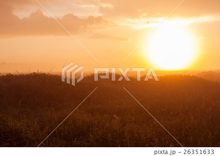 Foggy meadow at sunset Foggy meadow at sunset 26351633