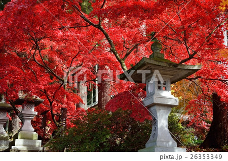 長野市若穂清水寺 26353349