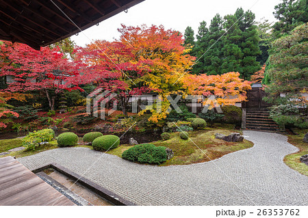 秋の泉涌寺 26353762