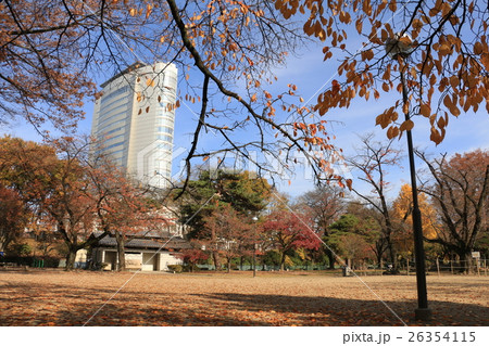 秋の高崎公園 秋の高崎公園 26354115