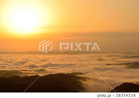 弥高山の雲海 弥高山の雲海 26354558