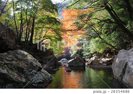 紅葉 紅葉 26354686
