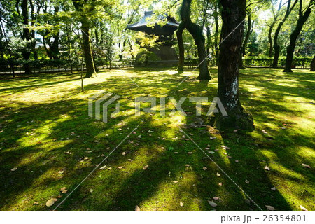 午後の日差しが差し込む寺の境内 26354801
