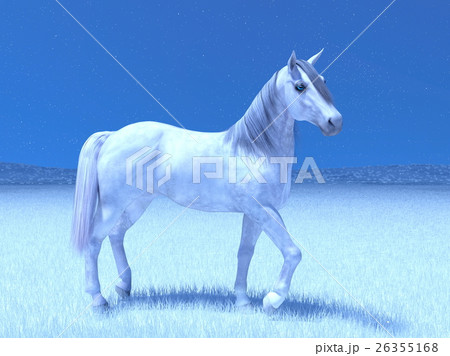 白馬 白馬 26355168
