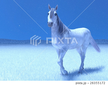白馬のイラスト素材