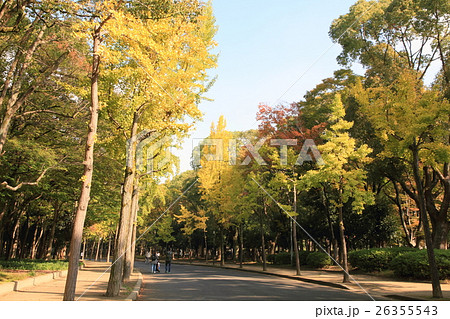 大阪城公園の秋 大阪城公園の秋 26355543