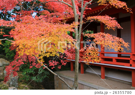The interior of the Daikaku-ji, kyoto 26355780