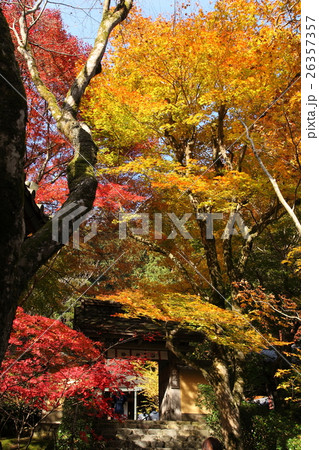 寂光院の紅葉 寂光院の紅葉 26357357