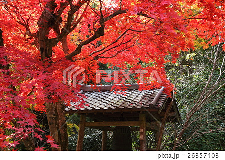 寂光院の紅葉 寂光院の紅葉 26357403