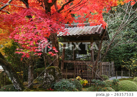 寂光院の紅葉 26357533