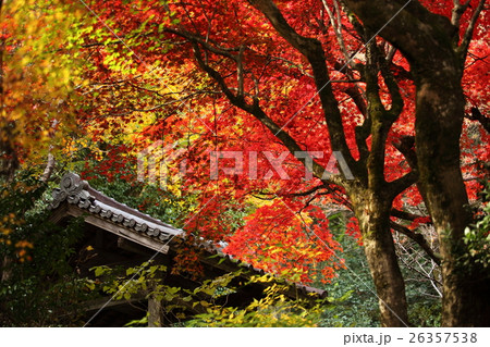 寂光院の紅葉 寂光院の紅葉 26357538