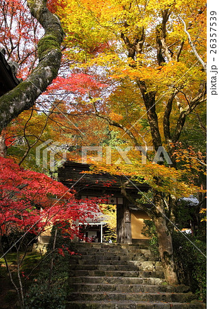 寂光院の紅葉 寂光院の紅葉 26357539