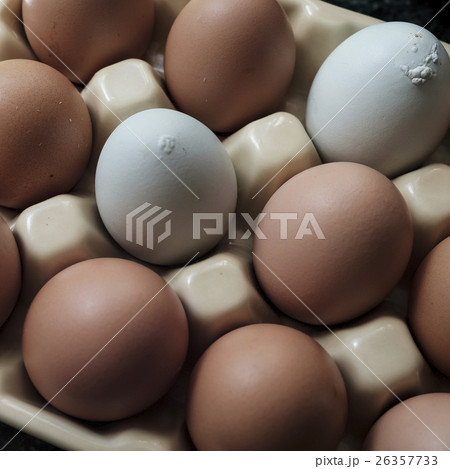 Chicken eggs in carton 26357733