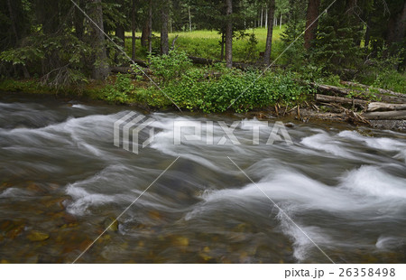 USA, Colorado, Ridgway, Fast flowing stream in Uncompahgre National Forest 26358498