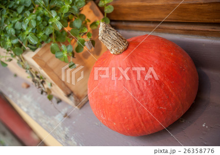 decorative pumpkin on a window 26358776