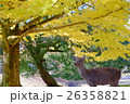 紅葉 26358821
