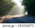 Sun beams fall down on a paved road through crown. 26358875