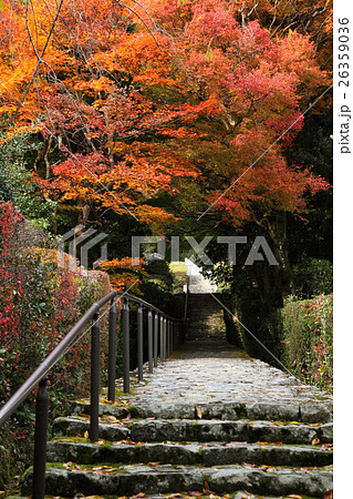 建礼門院徳子大原西陵の紅葉 建礼門院徳子大原西陵の紅葉 26359036