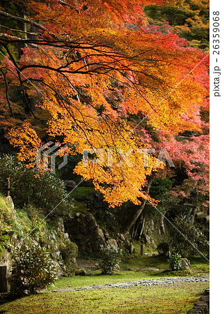 勝利院の紅葉 26359068