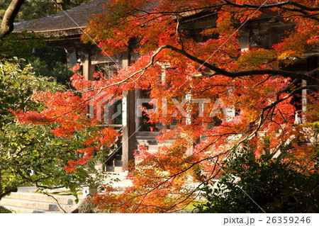 勝利院の紅葉 勝利院の紅葉 26359246