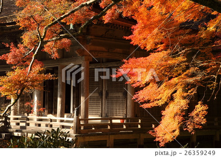 勝利院の紅葉 26359249