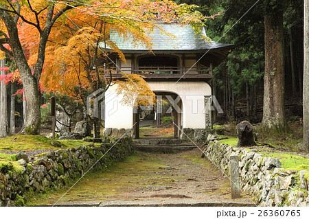 古知谷阿弥陀寺の紅葉と山門 26360765