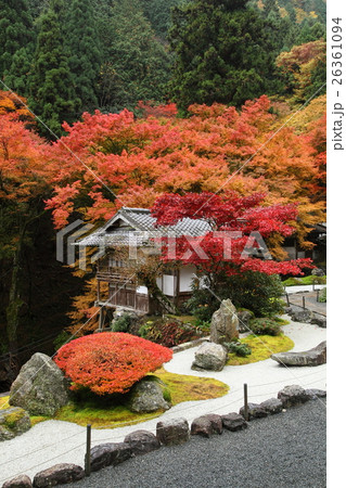 古知谷阿弥陀寺の紅葉 26361094