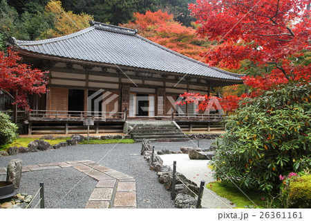 古知谷阿弥陀寺の紅葉 26361161
