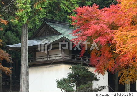 古知谷阿弥陀寺の紅葉と山門 古知谷阿弥陀寺の紅葉と山門 26361269