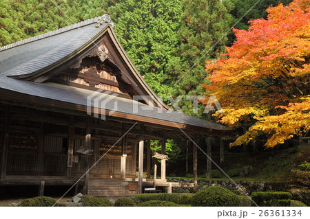 来迎院の紅葉 来迎院の紅葉 26361334